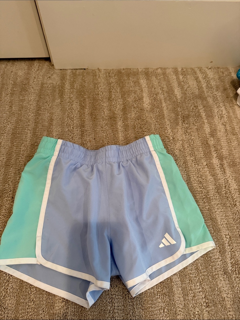 adidas Light Blue and Mint Athletic Shorts